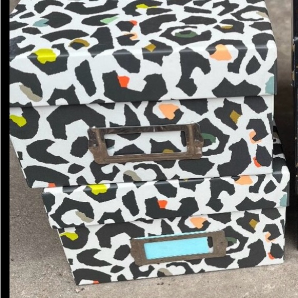 2 Storage Boxes Cheetah Print Art Craft Shoes Office Supplies Basket Bin Sewing